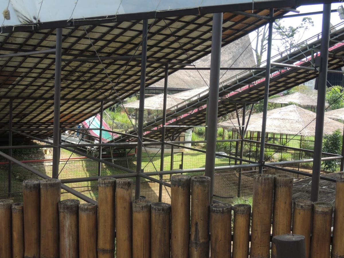 Hotel Semilir Glamping à Semarang Extérieur photo