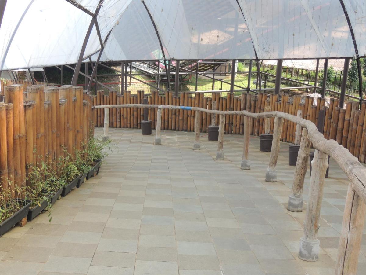 Hotel Semilir Glamping à Semarang Extérieur photo